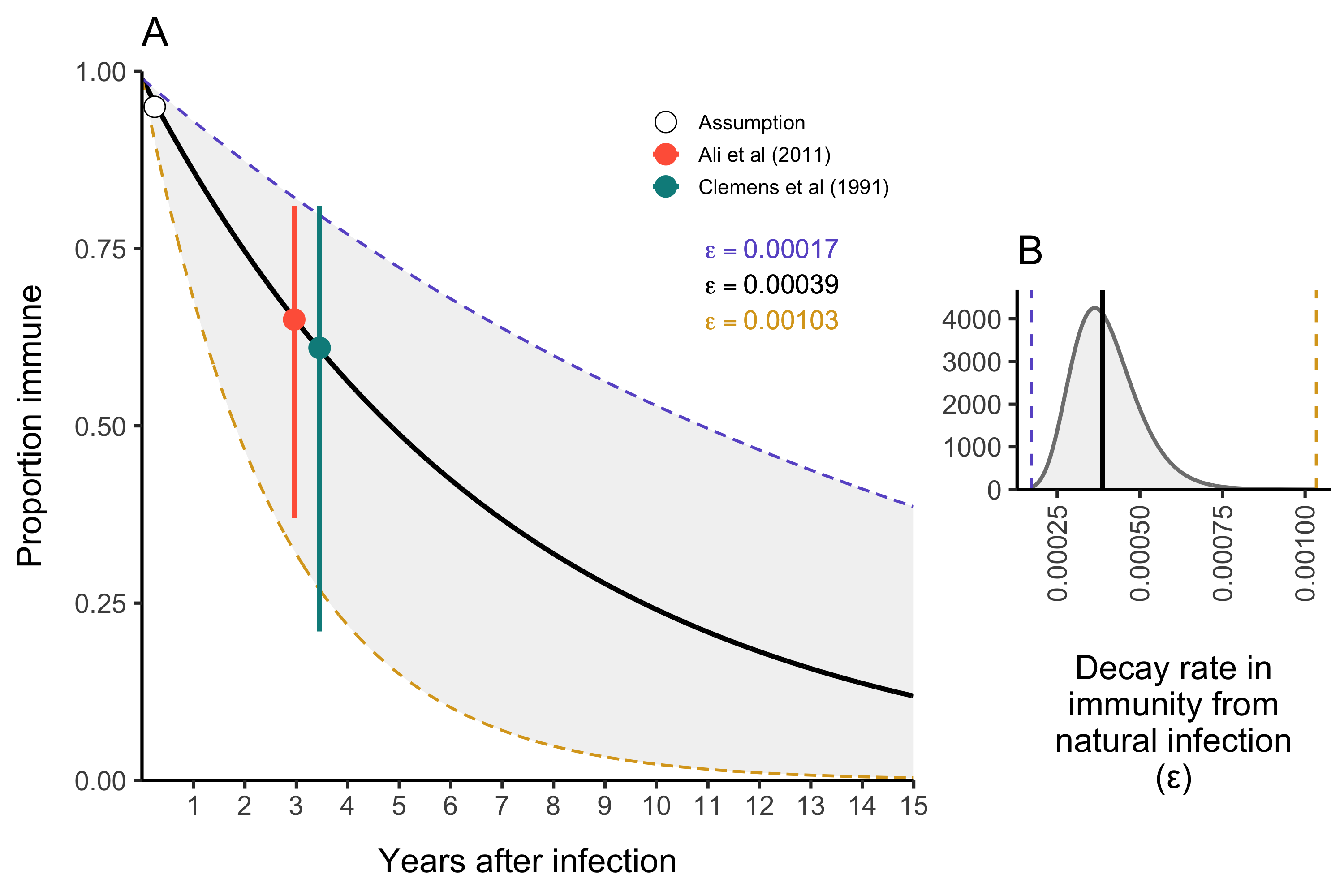 The duration of immunity after natural infection with *V. cholerae*.